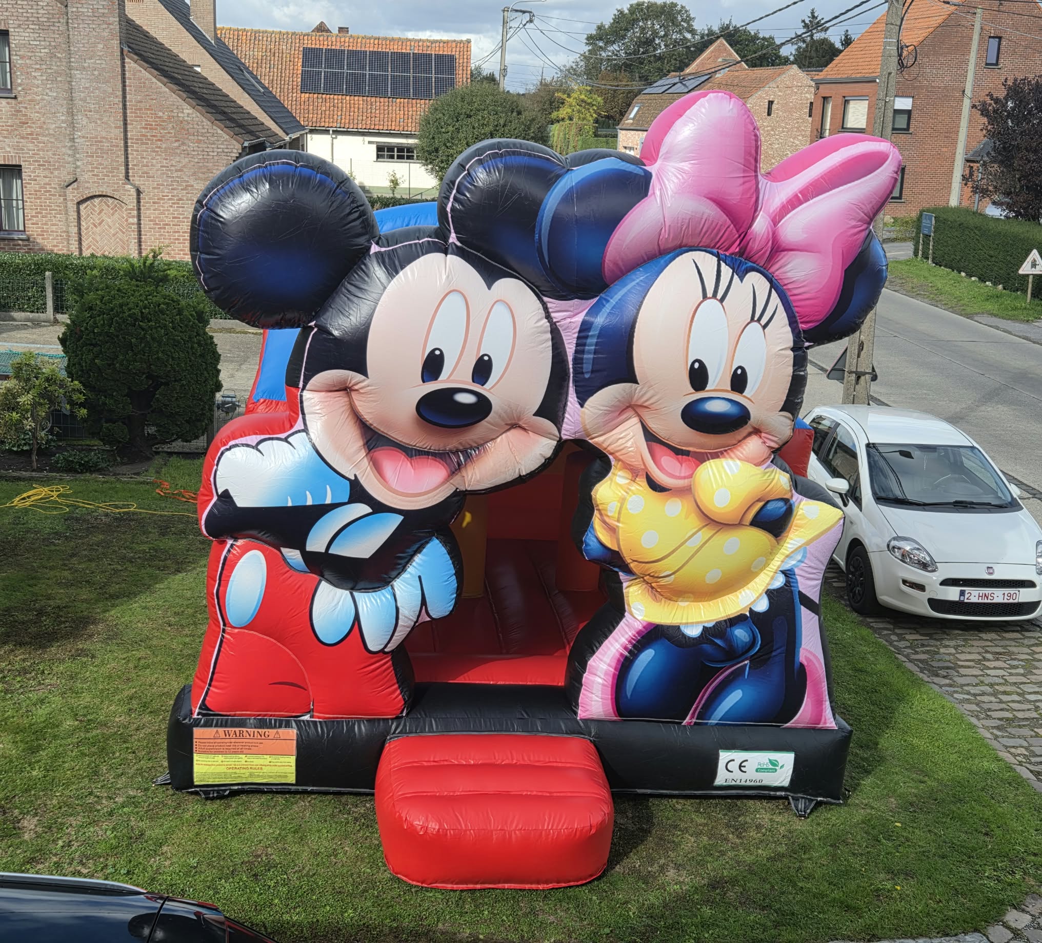 Mickey en minnie mouse