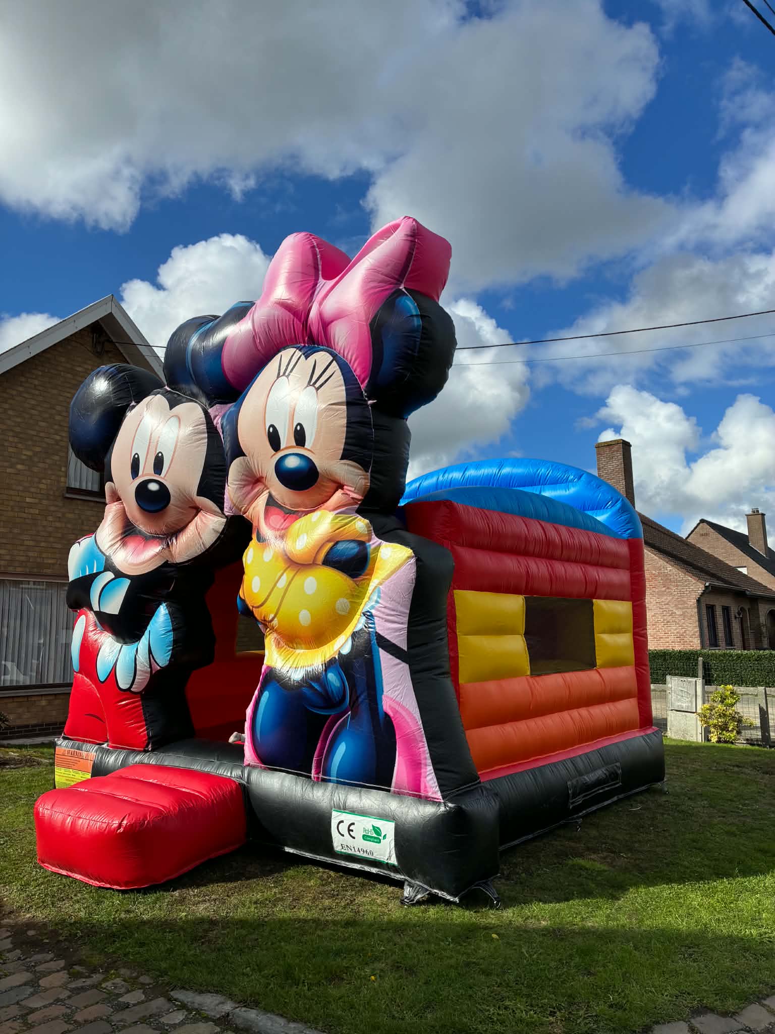 Mickey en minnie mouse – foto 2